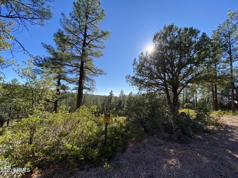 298 S Ranch Ln, Payson, AZ 85541 photo 15