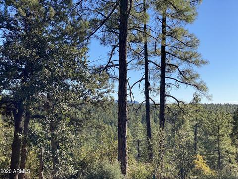 298 S Ranch Ln, Payson, AZ 85541 photo 55