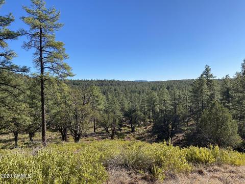 298 S Ranch Ln, Payson, AZ 85541 photo 69