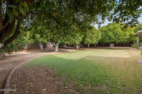 4240 E Fox St, Mesa, AZ 85205 photo 41