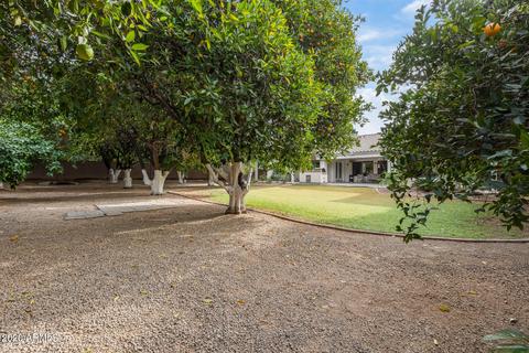 4240 E Fox St, Mesa, AZ 85205 photo 40
