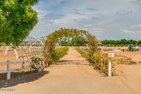 2661 E Tamarisk St, Gilbert, AZ 85296 photo 49