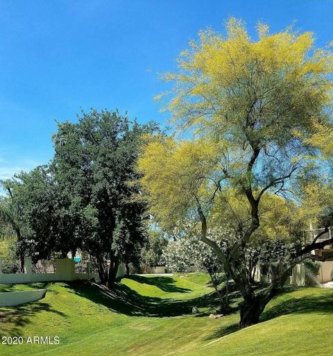 4919 E Hazel Dr #3, Phoenix, AZ 85044 photo 35