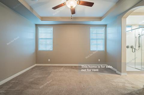 2172 S Henry Ln, Gilbert, AZ 85295 photo 17