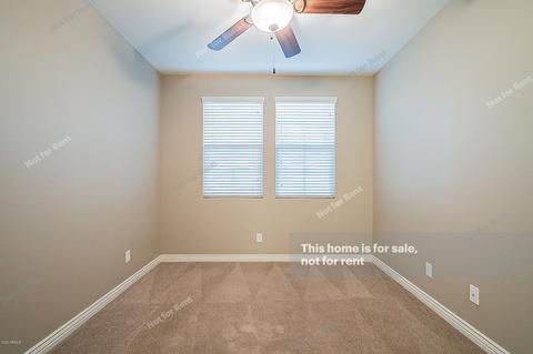 2172 S Henry Ln, Gilbert, AZ 85295 photo 19