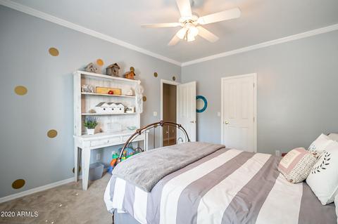 3636 E Palm St, Mesa, AZ 85215 photo 39