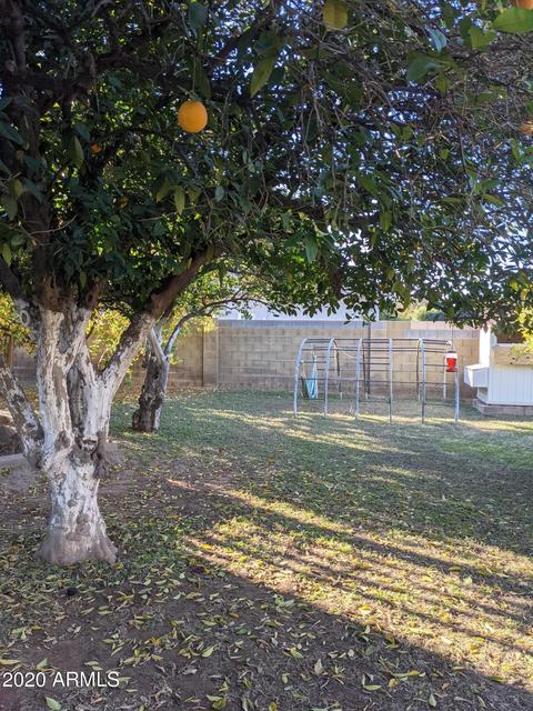2058 E Glencove Cir, Mesa, AZ 85213 photo 72