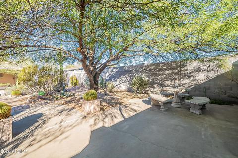 11106 E Collar Cir, Mesa, AZ 85207 photo 38