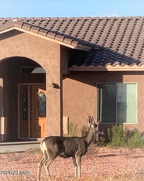 5286 E Boulder St, Apache Junction, AZ 85119 photo 30