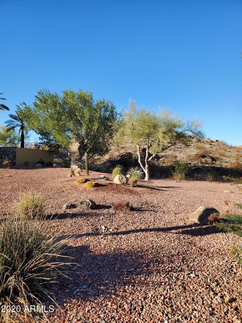 2748 E Mountain Sky Ave, Phoenix, AZ 85048 photo 48