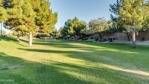 10836 E Roselle Ave, Mesa, AZ 85212 photo 5