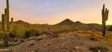 411 W Jomax Rd, Phoenix, AZ 85085 photo 61