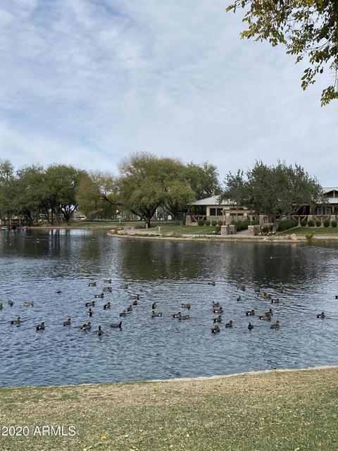 4475 E Melrose St, Gilbert, AZ 85297 photo 47