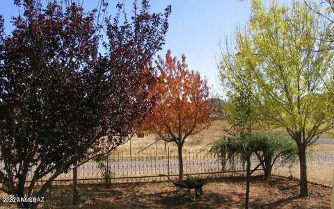 1547 E Pearce Rd, Pearce, AZ 85625 photo 43