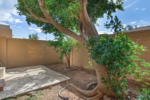 439 E Pecan Rd, Phoenix, AZ 85040 photo 30