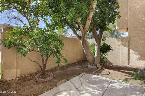439 E Pecan Rd, Phoenix, AZ 85040 photo 29
