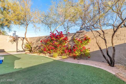 3976 E Robin Ln, Phoenix, AZ 85050 photo 29