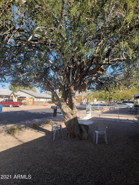 571 W 17th Ave, Apache Junction, AZ 85120 photo 3