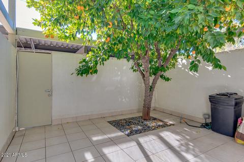 4401 N 40th St #14, Phoenix, AZ 85018 photo 28