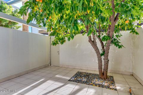4401 N 40th St #14, Phoenix, AZ 85018 photo 27