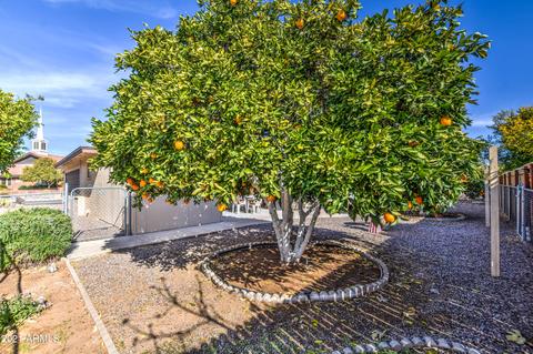 5615 E Adobe Rd, Mesa, AZ 85205 photo 27