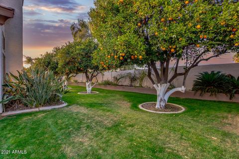4322 Encanto St, Mesa, AZ 85205 photo 7