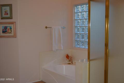 4643 E Downing Cir, Mesa, AZ 85205 photo 23
