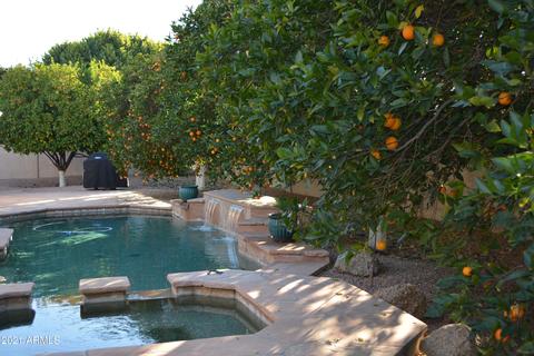 4643 E Downing Cir, Mesa, AZ 85205 photo 30