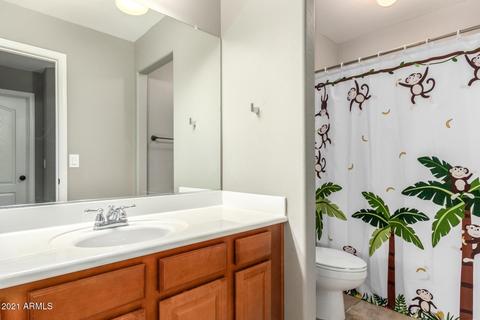 4309 E Folgers Rd, Phoenix, AZ 85050 photo 25