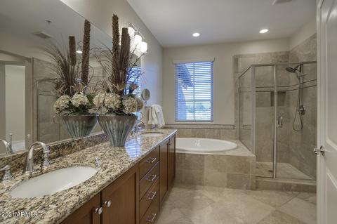 3859 E Cat Balue Dr, Phoenix, AZ 85050 photo 15