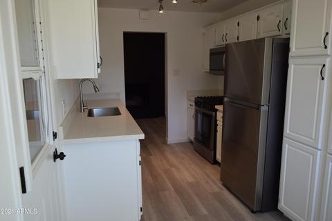 1323 E Vine Ave, Mesa, AZ 85204 photo 47
