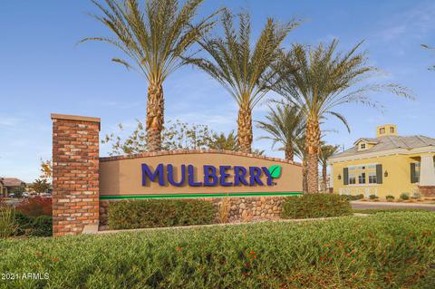 10017 E Naranja Ave, Mesa, AZ 85209 photo 27