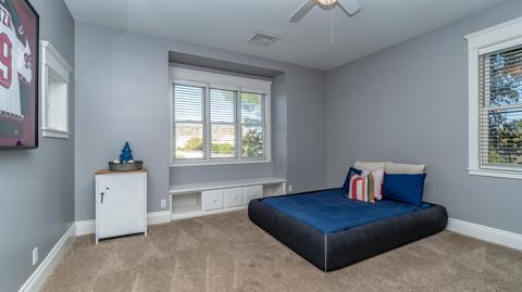 3407 E Tere St, Phoenix, AZ 85044 photo 49