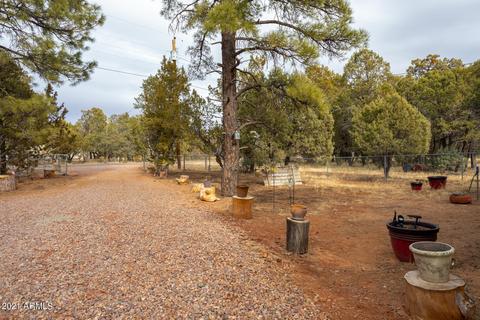 2137 Chevelon Rd, Overgaard, AZ 85933 photo 5