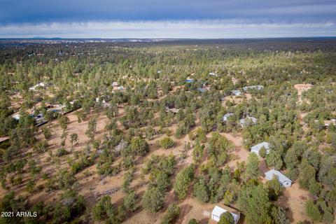 2137 Chevelon Rd, Overgaard, AZ 85933 photo 23