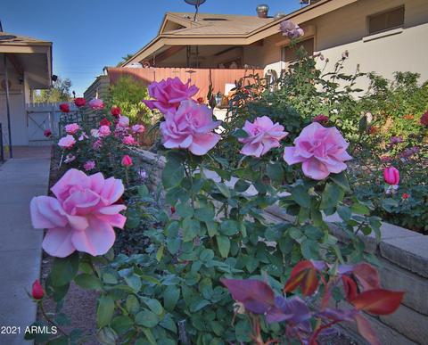 6445 E University Dr, Mesa, AZ 85205 photo 12