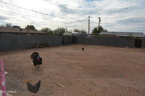 220 S Malcolm Dr, Apache Junction, AZ 85120 photo 43
