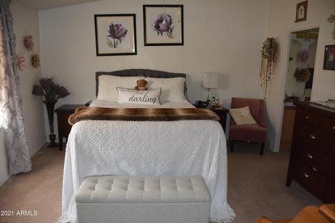 220 S Malcolm Dr, Apache Junction, AZ 85120 photo 30