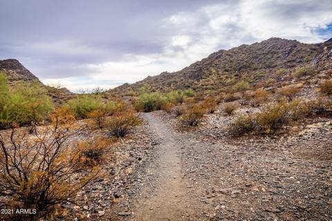 2407 E Shea Blvd, Phoenix, AZ 85028 photo 40