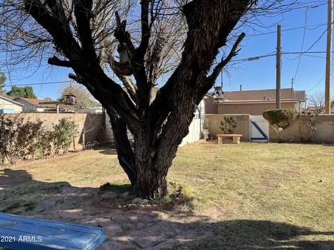 1553 E 12th St, Douglas, AZ 85607 photo 26