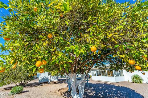 5655 E Decatur St, Mesa, AZ 85205 photo 35