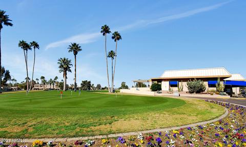 8270 E Dolphin Ave, Mesa, AZ 85208 photo 27