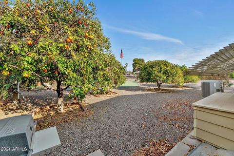8270 E Dolphin Ave, Mesa, AZ 85208 photo 25