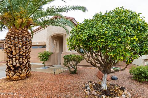 9907 E Flower Ave, Mesa, AZ 85208 photo 33