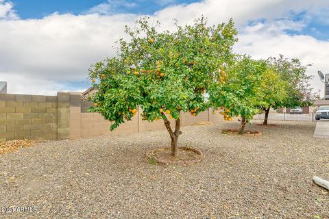152 N 63rd St, Mesa, AZ 85205 photo 26