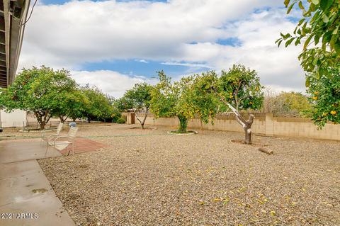 152 N 63rd St, Mesa, AZ 85205 photo 21