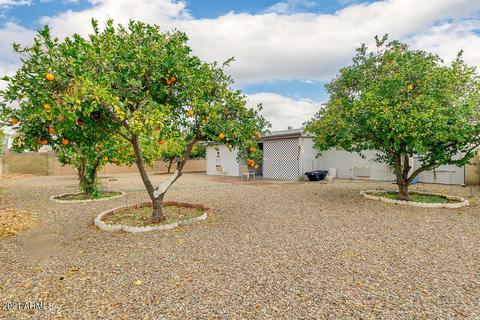 152 N 63rd St, Mesa, AZ 85205 photo 24