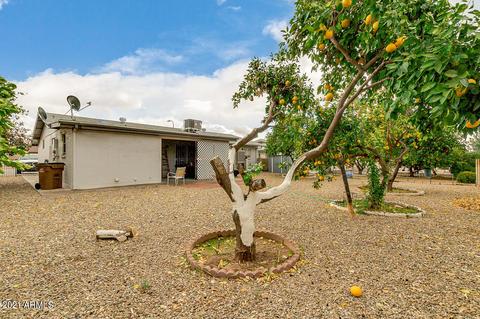 152 N 63rd St, Mesa, AZ 85205 photo 23