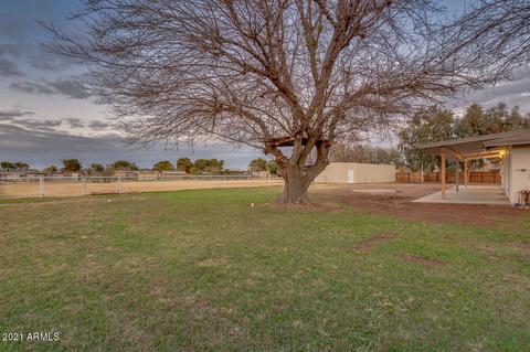 1000 E Houston Ave, Gilbert, AZ 85234 photo 8