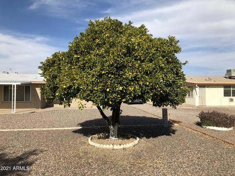5854 E Des Moines St, Mesa, AZ 85205 photo 25